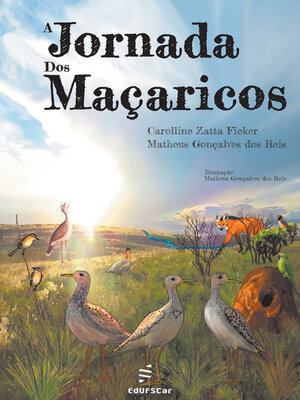 cover image of A jornada dos maçaricos